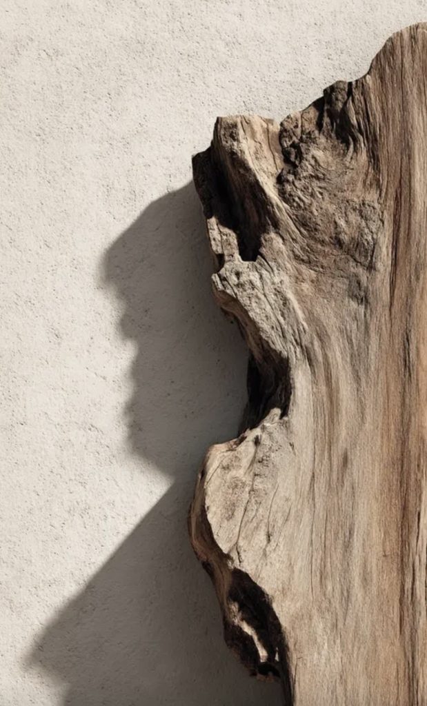 Bois naturel sculpté par le temps