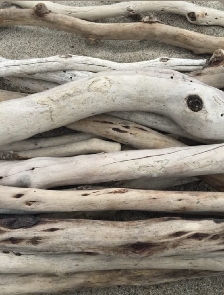 Bois flotté naturel aux formes organiques