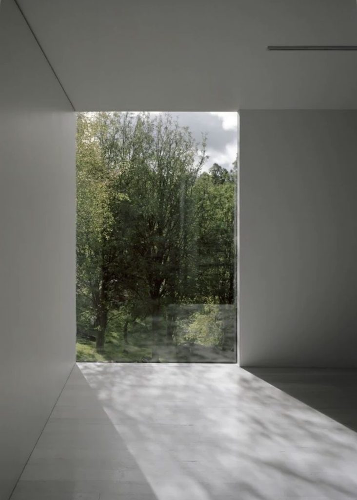 Baie fixe en aluminium apportant de la lumière naturelle dans une cuisine contemporaine